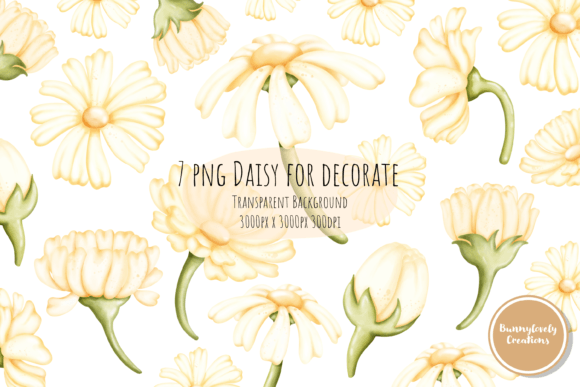 Download Daisy for Decoration - Daisy Collection
